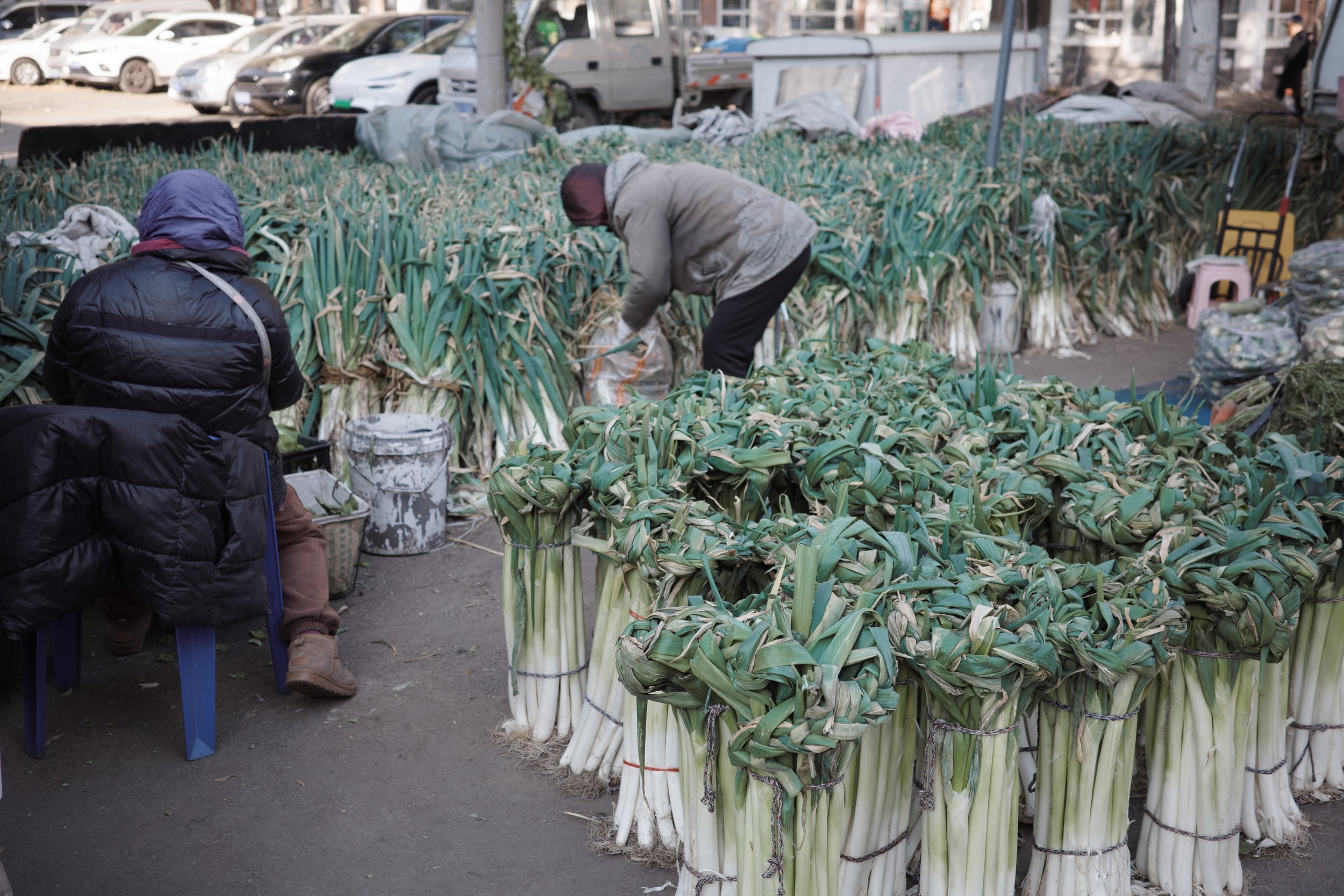 哈尔滨·黑龙江