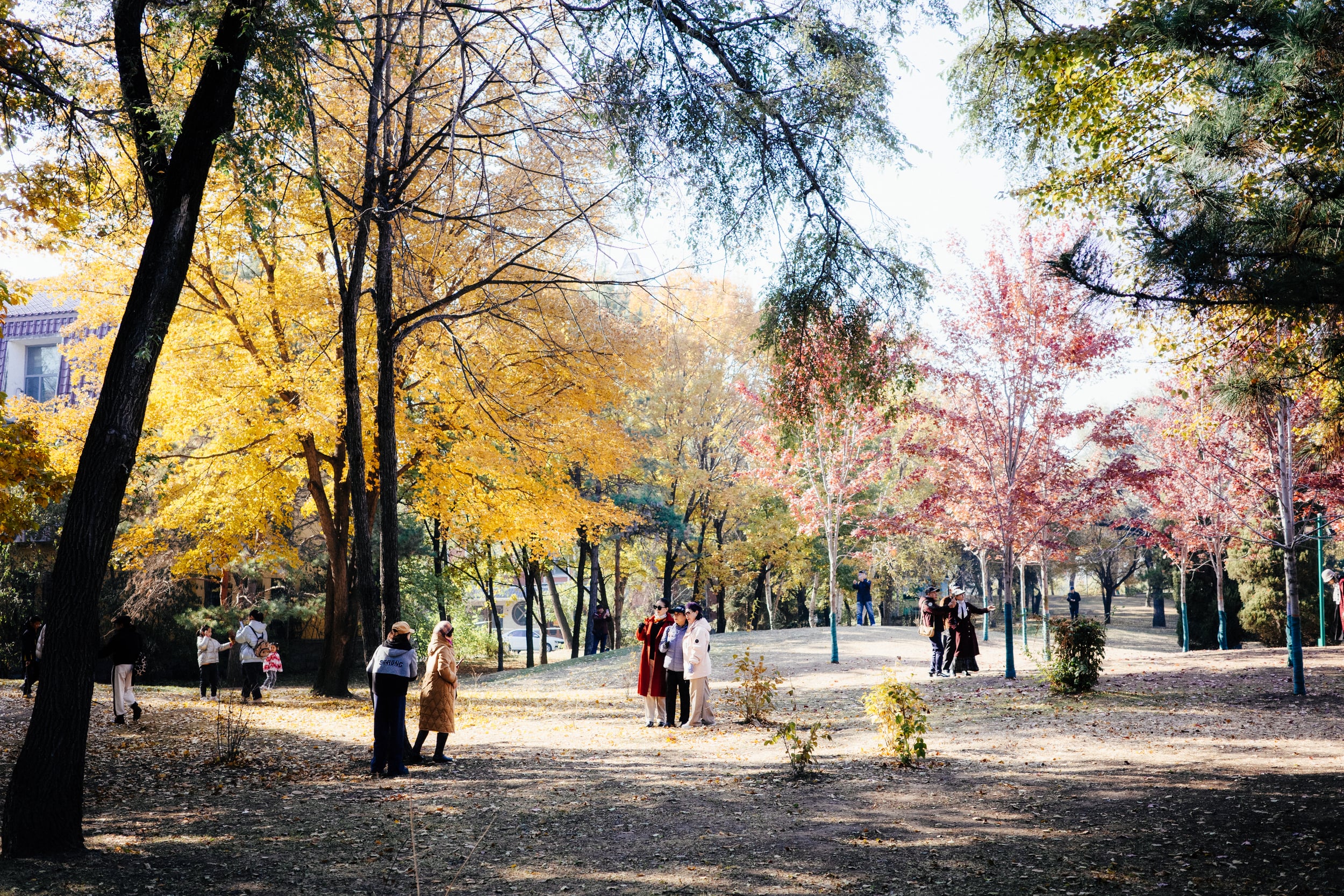 哈尔滨·黑龙江