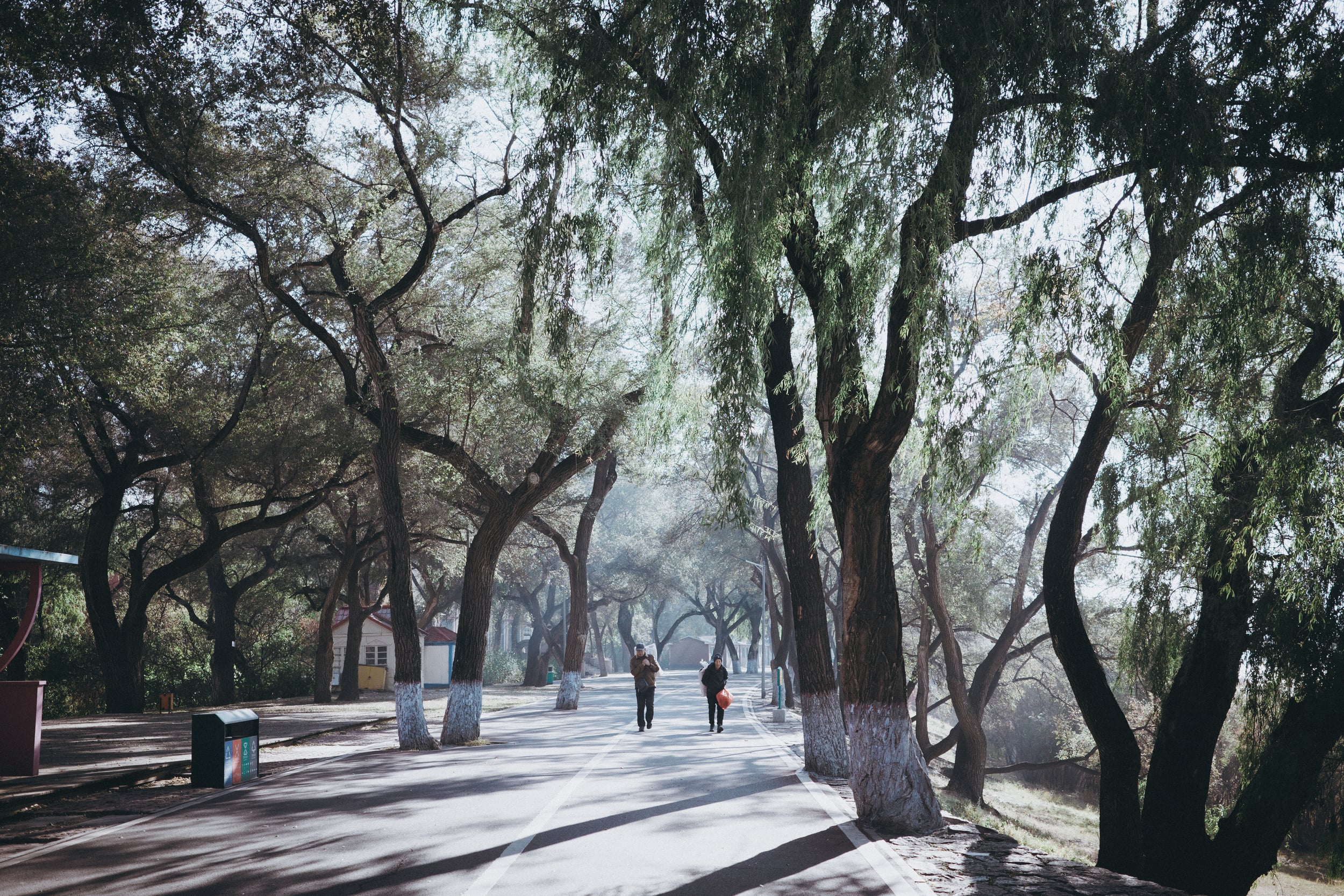 哈尔滨·黑龙江